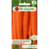 Nasiona Marchew Jadalna Amsterdam Legutko 5g
