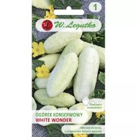 Nasiona Ogorek gruntowy konserwowy White Wonder F1 2g